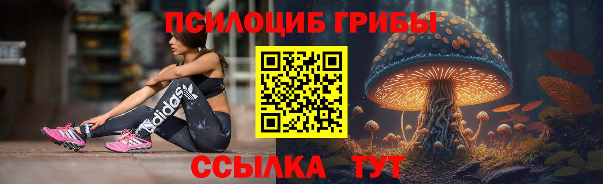 Галлюциногенные грибы прущие грибы Усинск